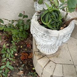 Cement Beautiful Garden Pots With Plants Two Pots 