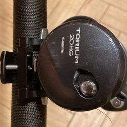 Shimano Torium And Fishing Syndicate Rod