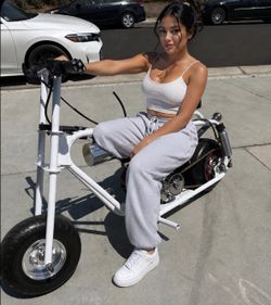 Fully built mini bike