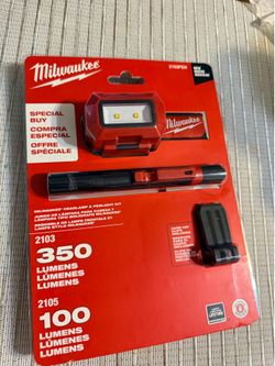350 Lumens LED Headlamp and 100 Lumens Aluminum Pen Light with Clip