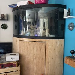 92 Gallon Corner Bow Front Tank In Great Condition