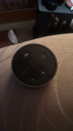 Echo Dot