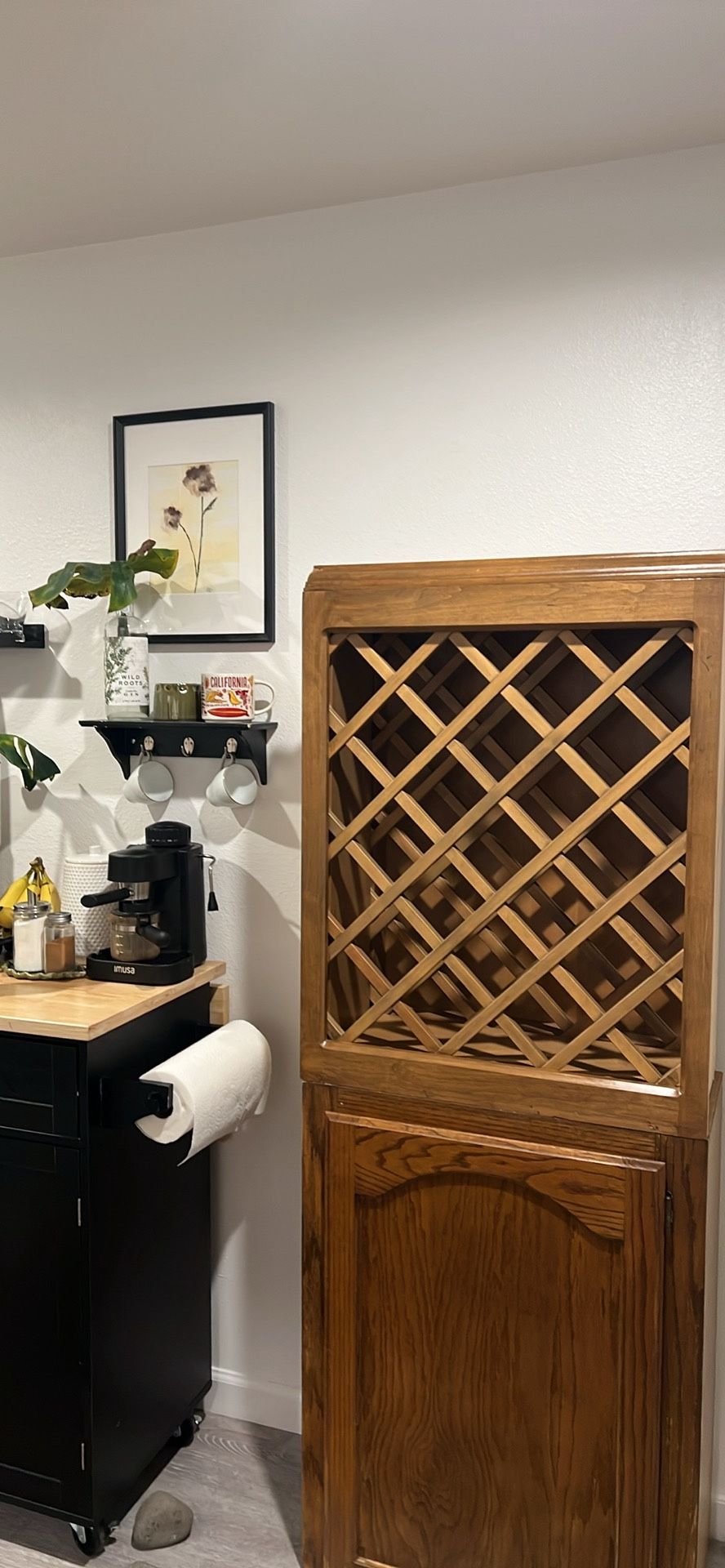 Wine Cabinet with storage