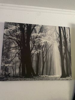 Canvas Painting