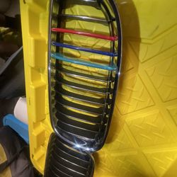 BMW Grill