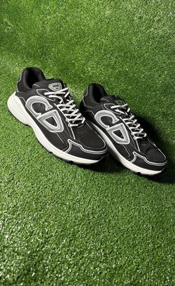 Dior B30 Sneakers Black and White