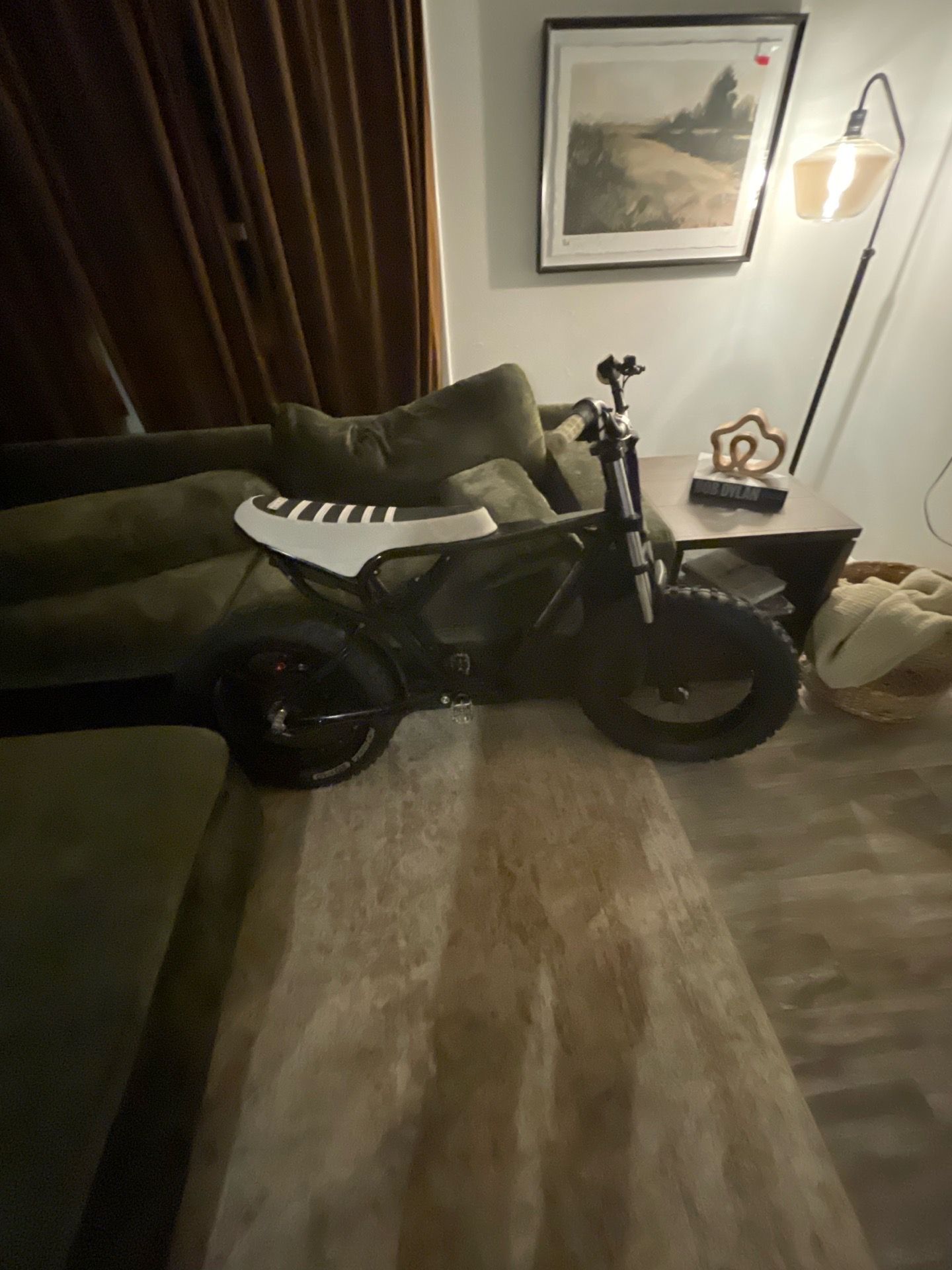 Ridstar q29