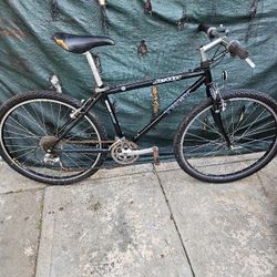 3 BIKES FOR $100