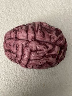 Bloody brain, Halloween prop decoration