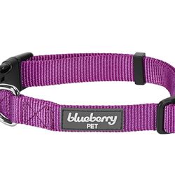 Blueberry Pet Essentials 22 Colors Classic Dog Collars, Personalized Dog Collars