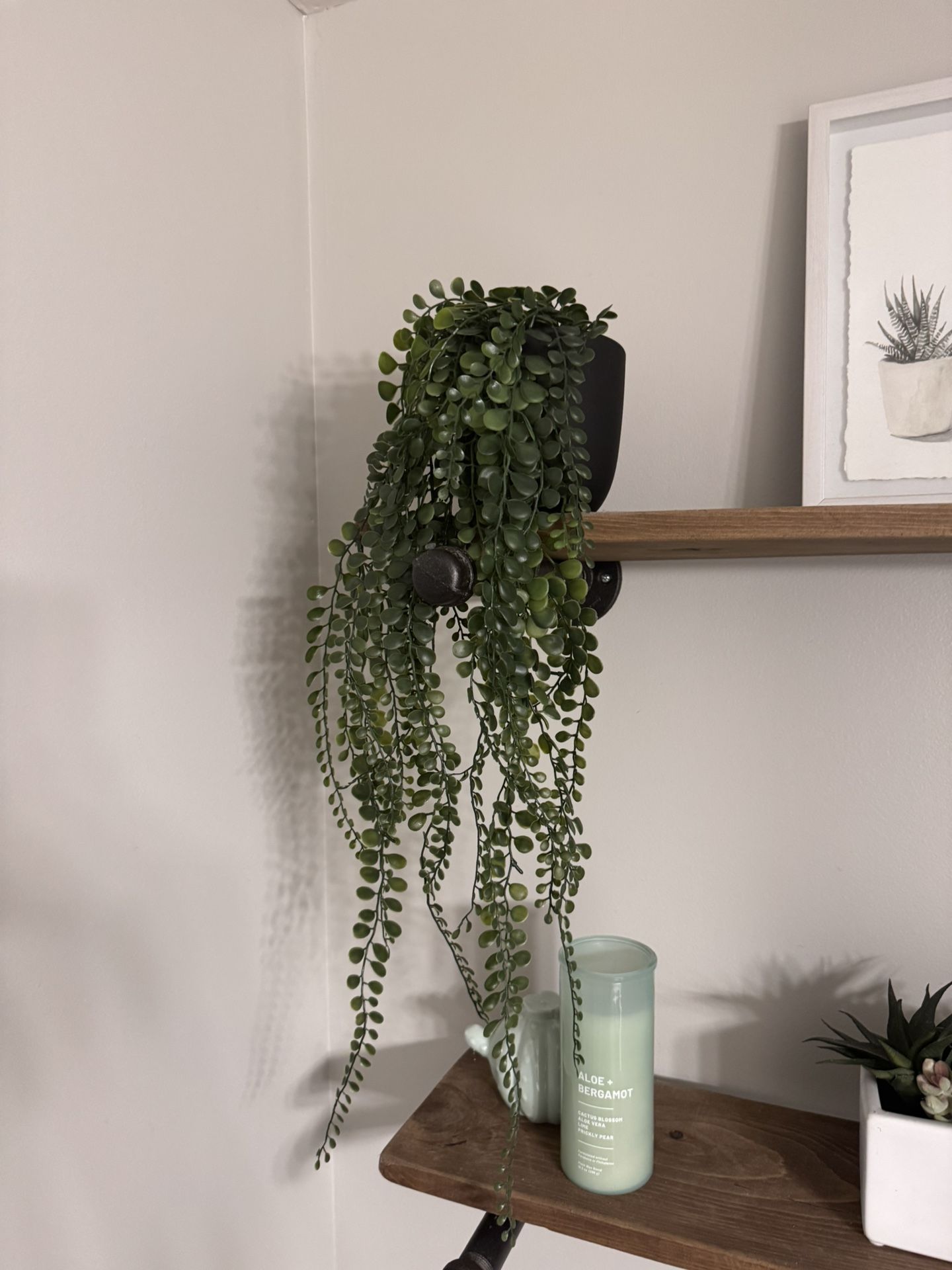 Trailing Artificial Plant