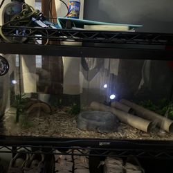 Beginner Snake Enclosure ZooMed 