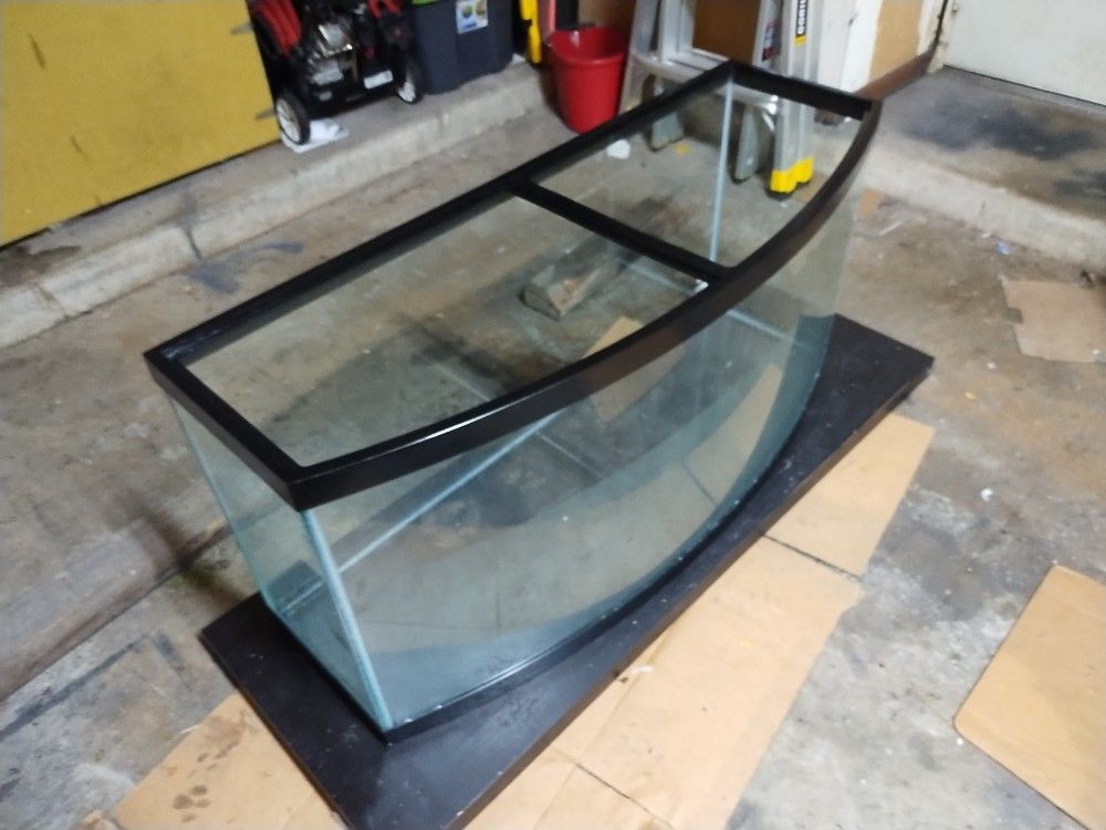 72 Gal Bowfront Aquarium