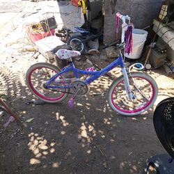 Girls Bike 20