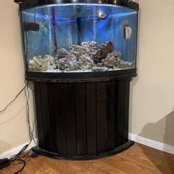 55 Gallon Corner Salt Water Fish Tank 