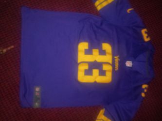 Minnesota Viking Cook throwback jersey and Minnesota Viking coat