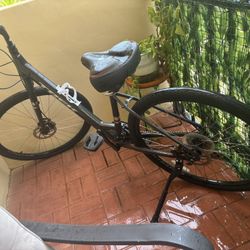 Trek Bike 