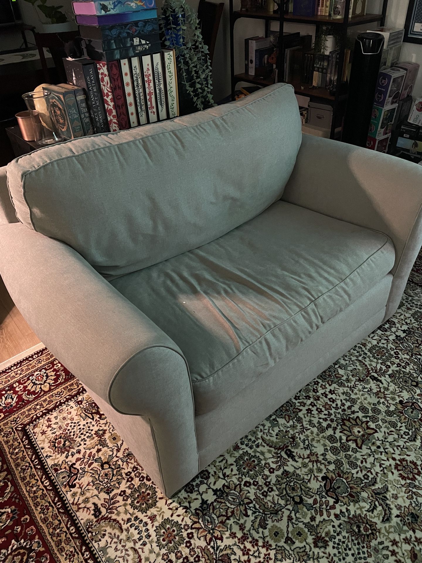 Taupe Love Seat Fold Out Bed