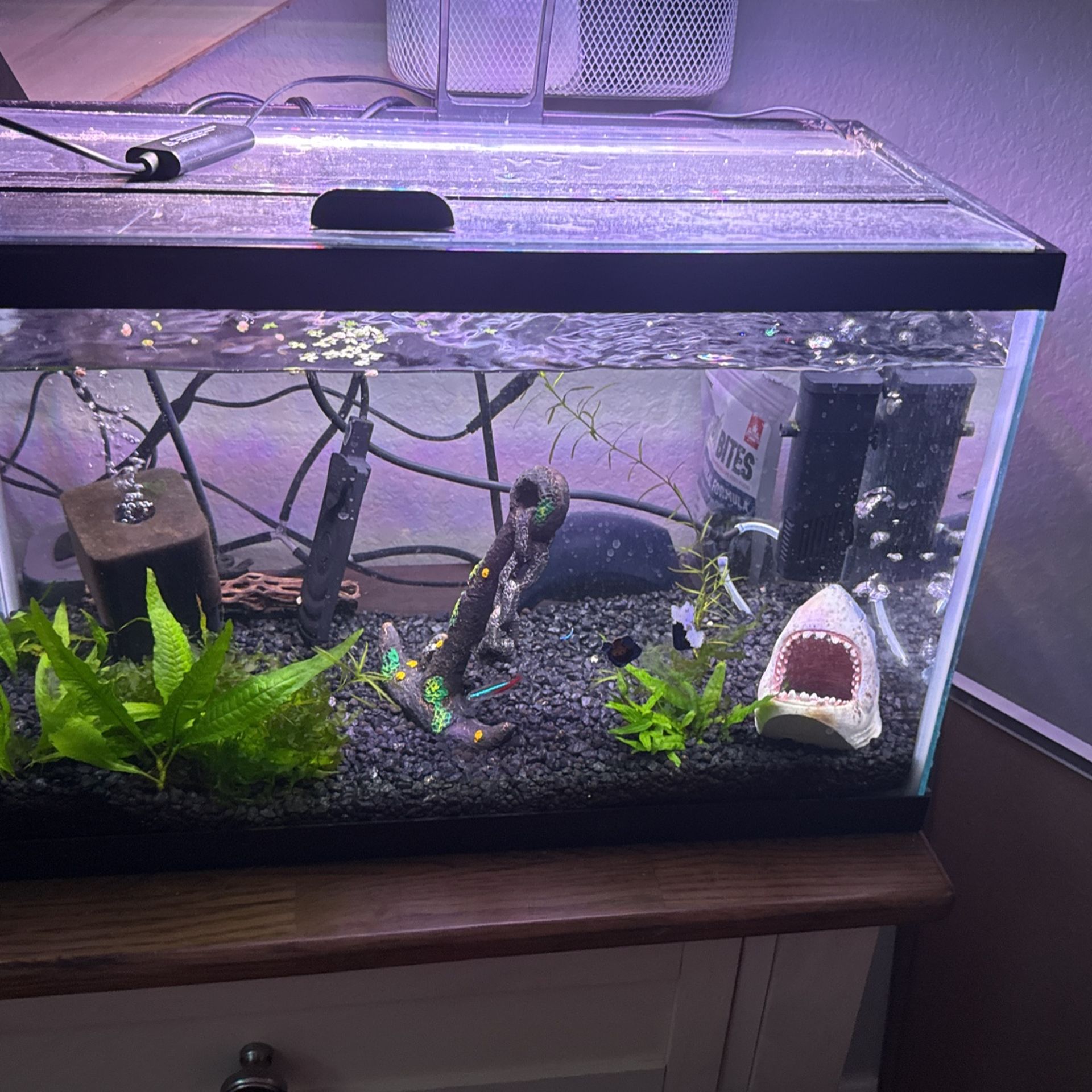 Fish Tank