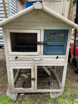 Bunny hutch