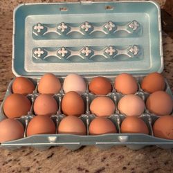Eggs 