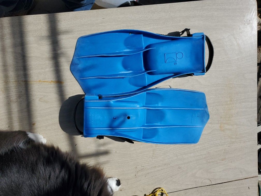 Swimming Fins