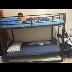 Twin Bunk bed For Sale 