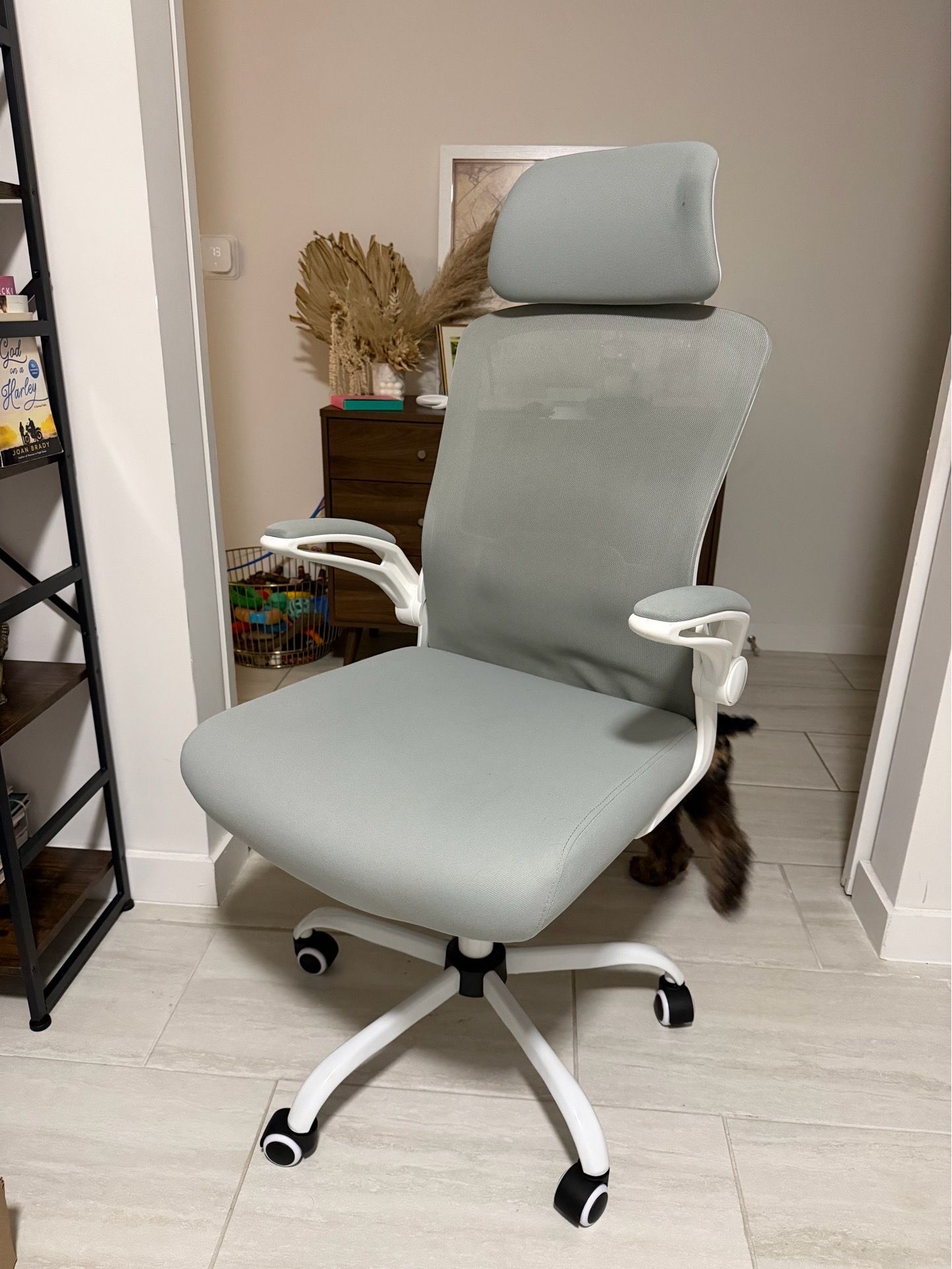 Mimoglad Ergonomic Office Chair (Moon Gray)