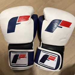 Fighting 12oz boxing gloves