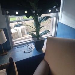 Fake Plant