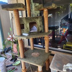 Free Cat Tree