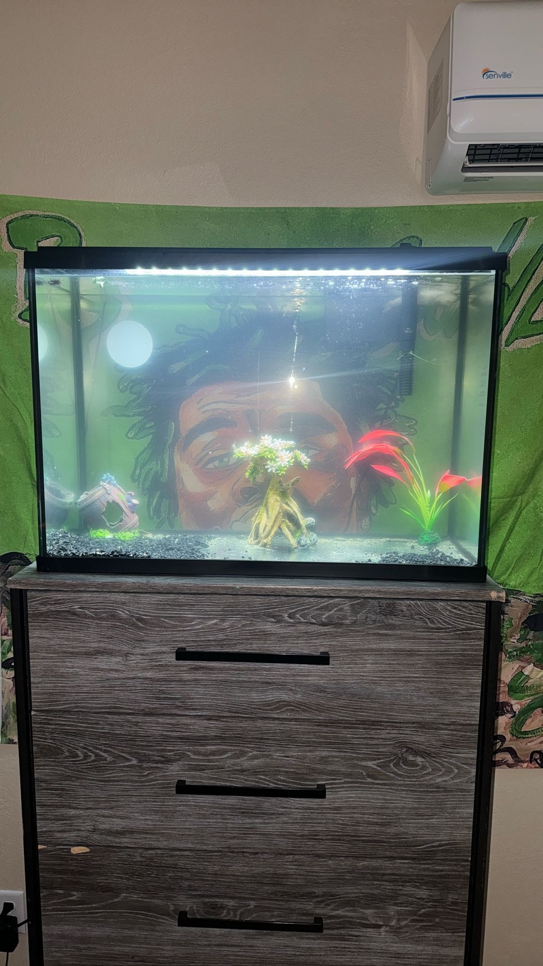 29 Gallon Fish Tank With Filter And Heater