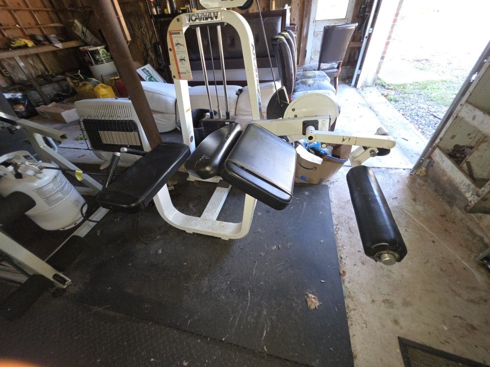 Icarian Prone Lying Leg Curl