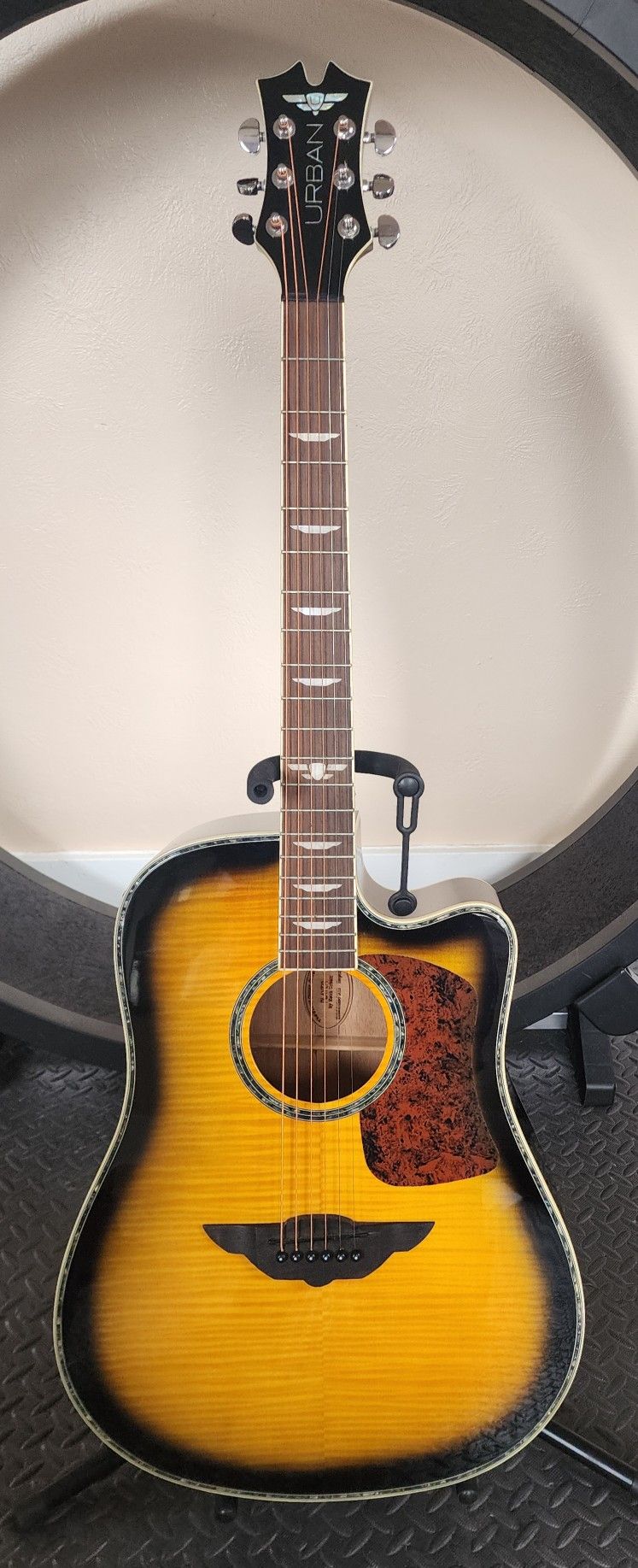 Keith Urban Player Acoustic Electric & 30 How-to DVD's