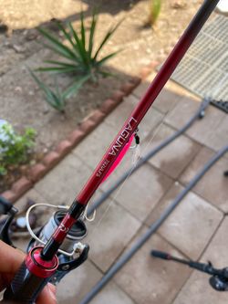Daiwa spinning setup