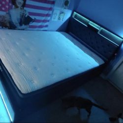 Bed Frame For A Full Bed 
