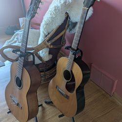 Two Guitars! Steel string and Nylon string. Starter