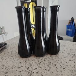 Black Vases