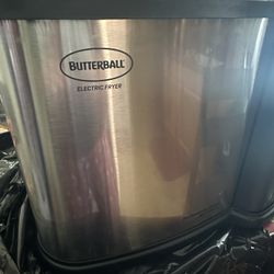 Electric Fryer