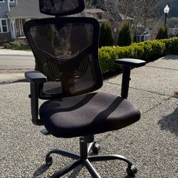 NOBLEWELL Ergonomic Chair