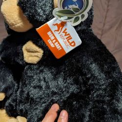 Monkey With Baby 