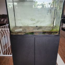 Fish Tank + Stand