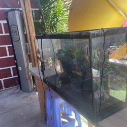 30 Gallon Fish Tank