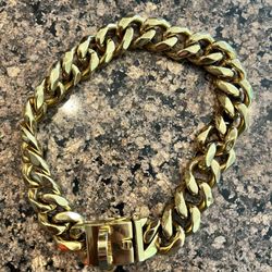Gold Dog Collar Chain 
