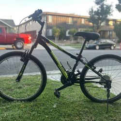 Typhoon Bike Black And Green