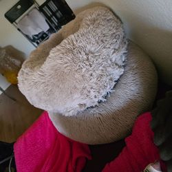Dog Bed