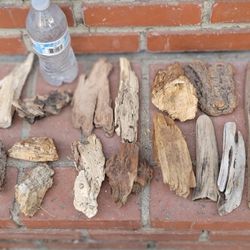 Driftwood