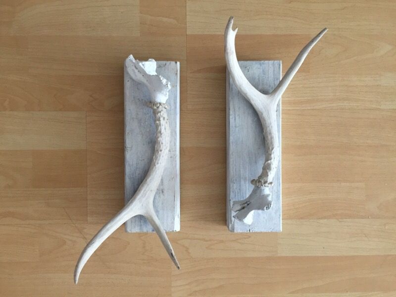 Handmade Deer Shed Wall Mount