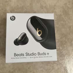 New Beats Studio Buds+