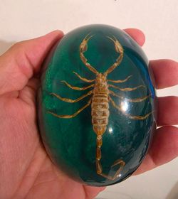 4" Vintage Scorpion Paperweight,Green Colour .